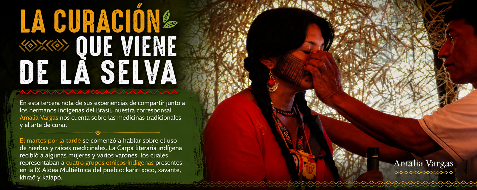 La curación que viene de la selva